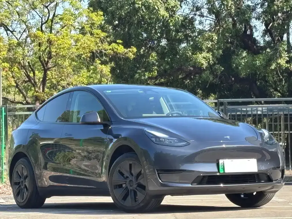 Tesla Model Y — фото 9