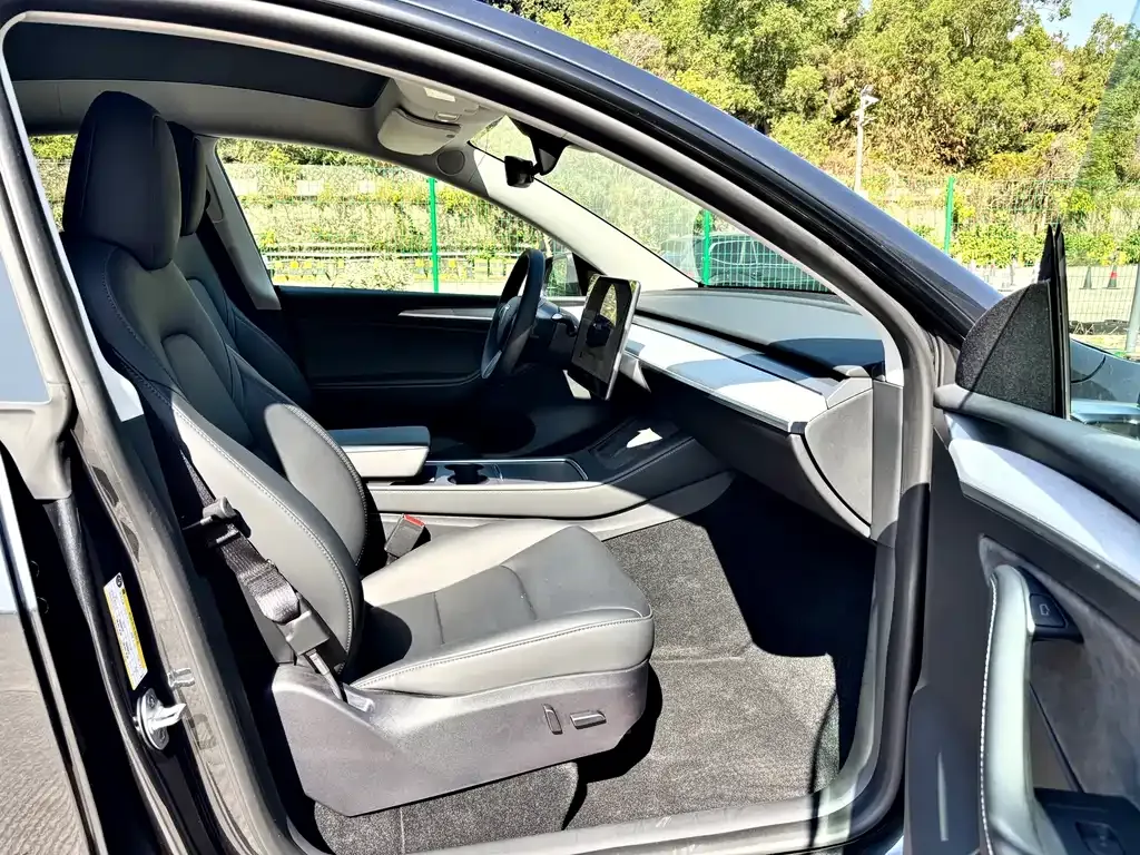Tesla Model Y — фото 8