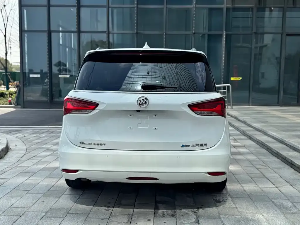 Buick GL6 2022 из CN, фото 4