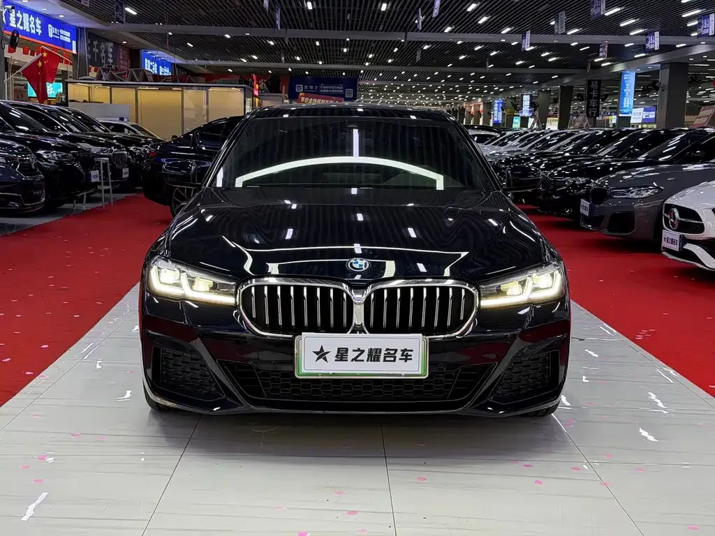 BMW 5 Series New Energy — фото 5