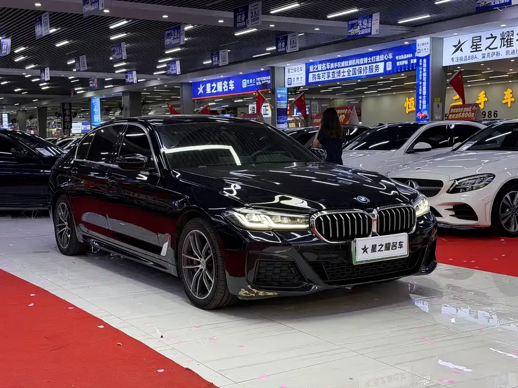 BMW 5 Series New Energy — фото 10