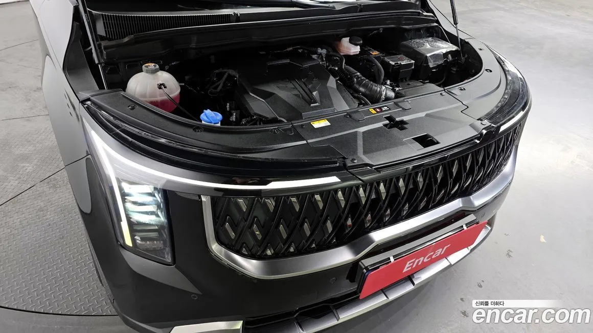 Kia Carnival — фото 10