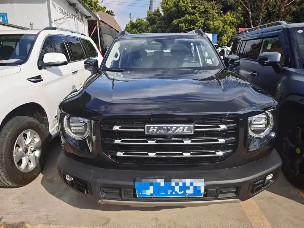Haval Big Dog 2022 из CN, фото 6