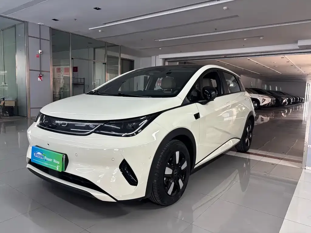 BYD Dolphin 2025 из CN, фото 1