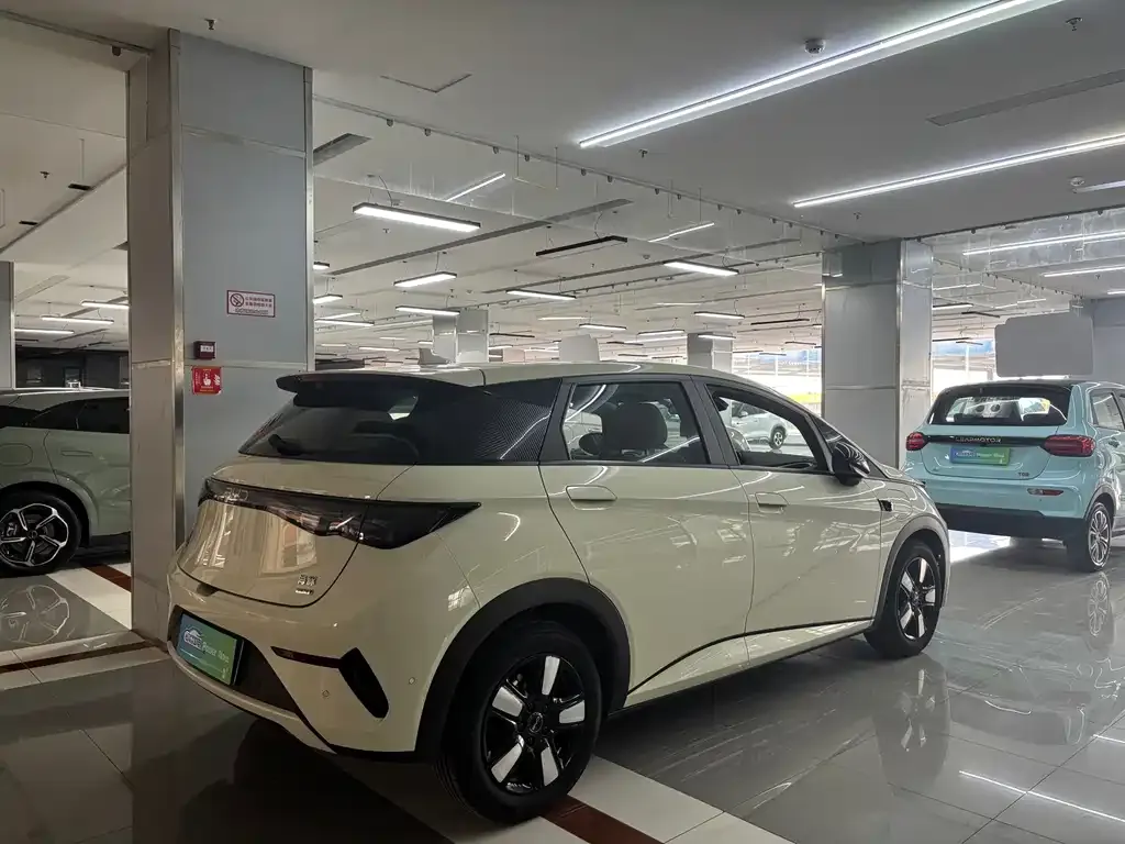 BYD Dolphin 2025 из CN, фото 5