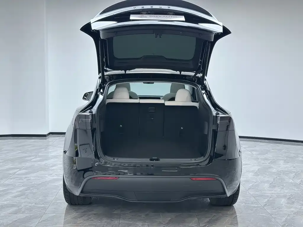 Tesla Model Y 2024 из CN, фото 6