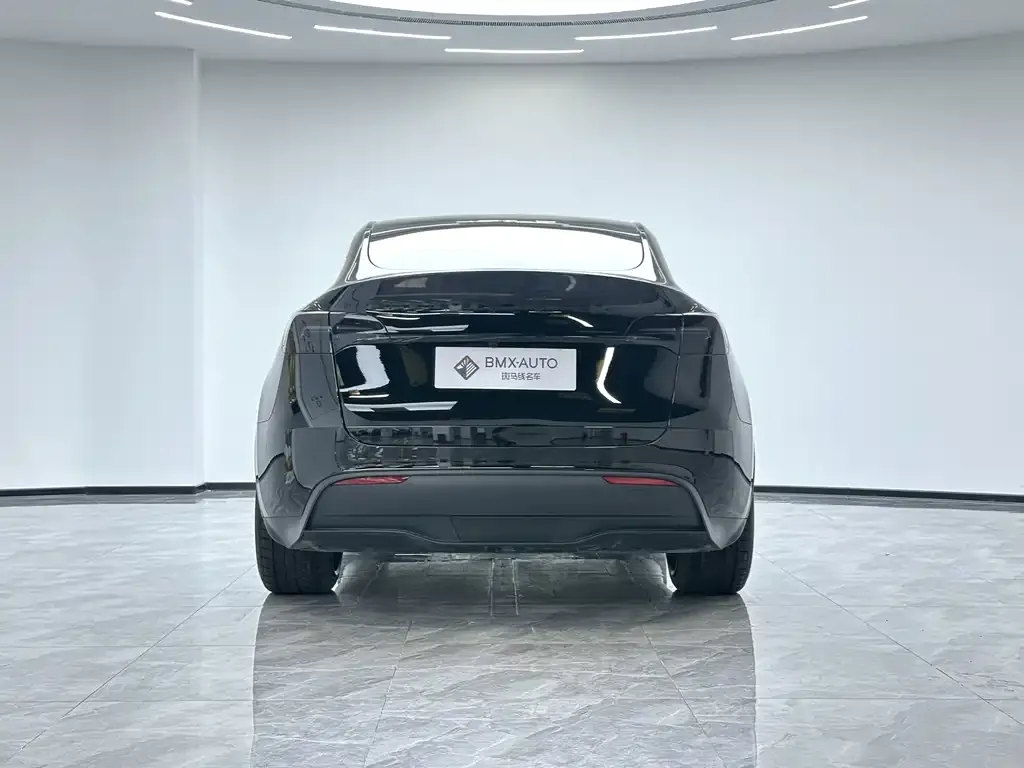 Tesla Model Y 2024 из CN, фото 5