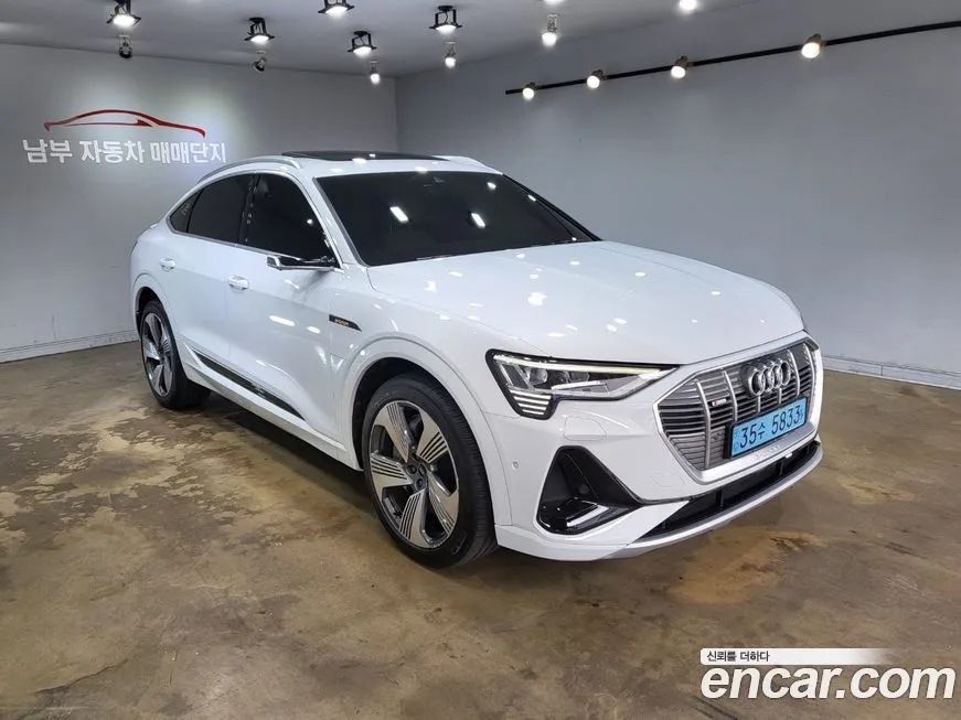 Audi e-tron 2021 из KR, фото 1