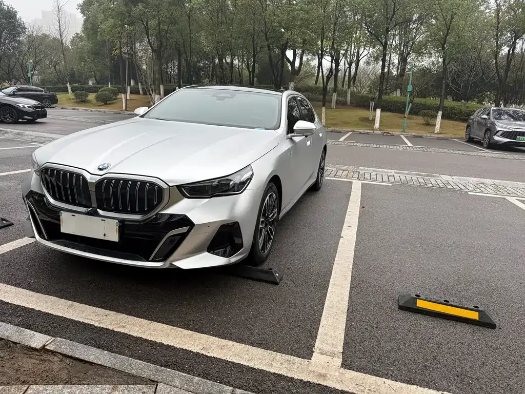 BMW 5 Series 2025 из CN, фото 1