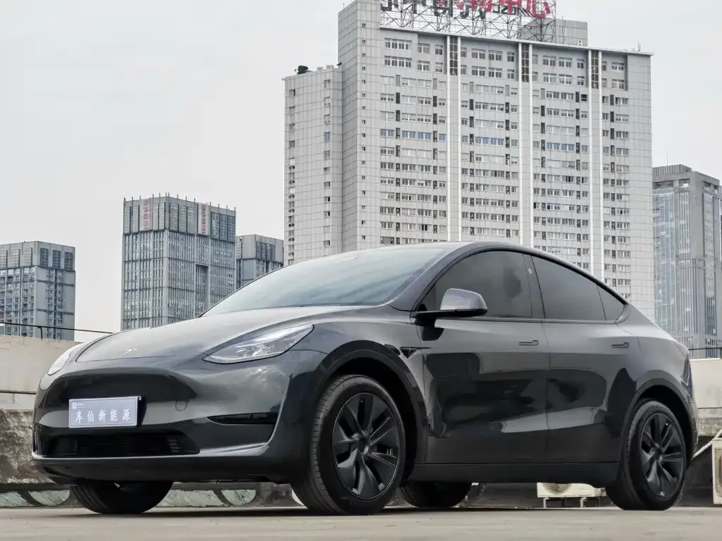 Tesla Model Y — фото 1