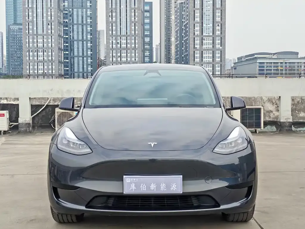 Tesla Model Y — фото 9