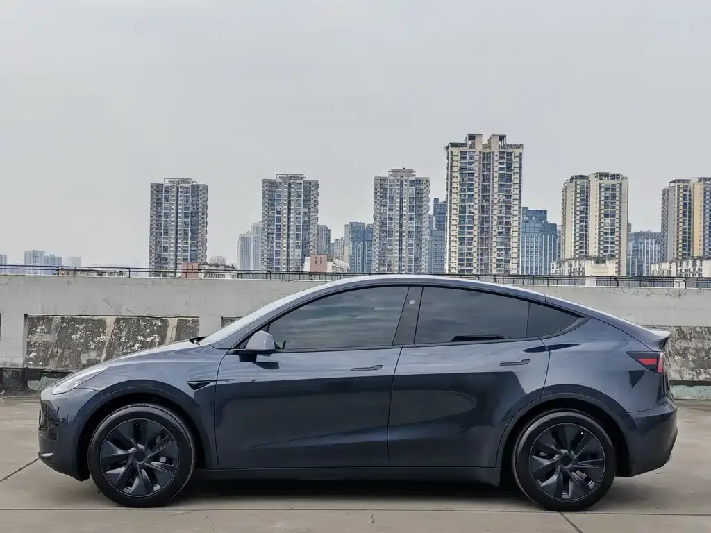 Tesla Model Y — фото 5