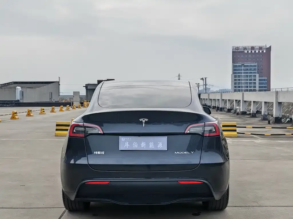 Tesla Model Y — фото 2
