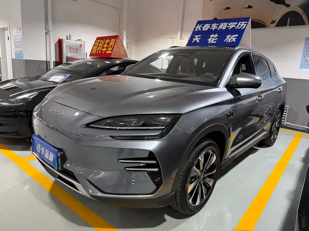 BYD PLUS New Energy — фото 1
