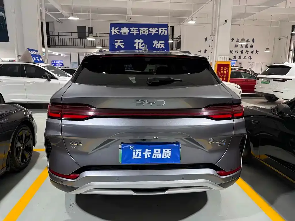 BYD PLUS New Energy — фото 10