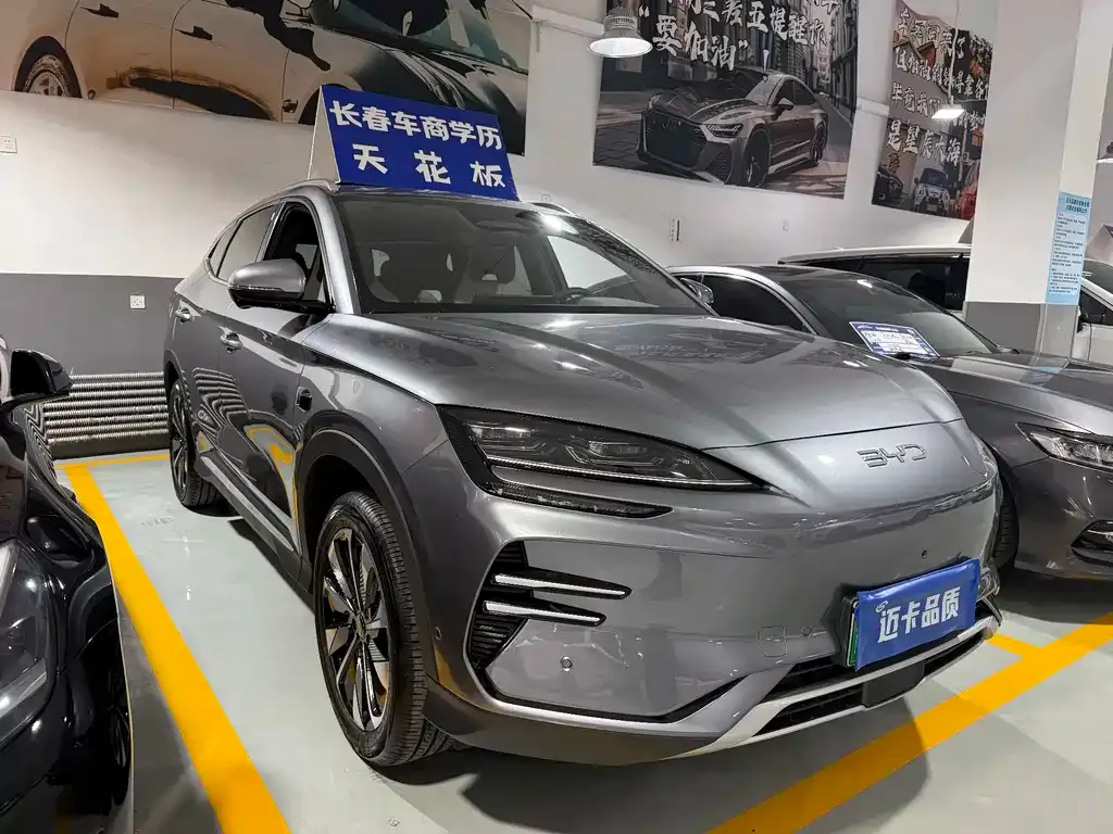 BYD PLUS New Energy — фото 8