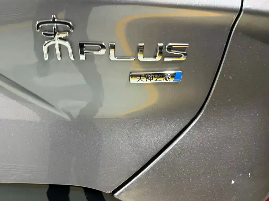 BYD PLUS New Energy — фото 3