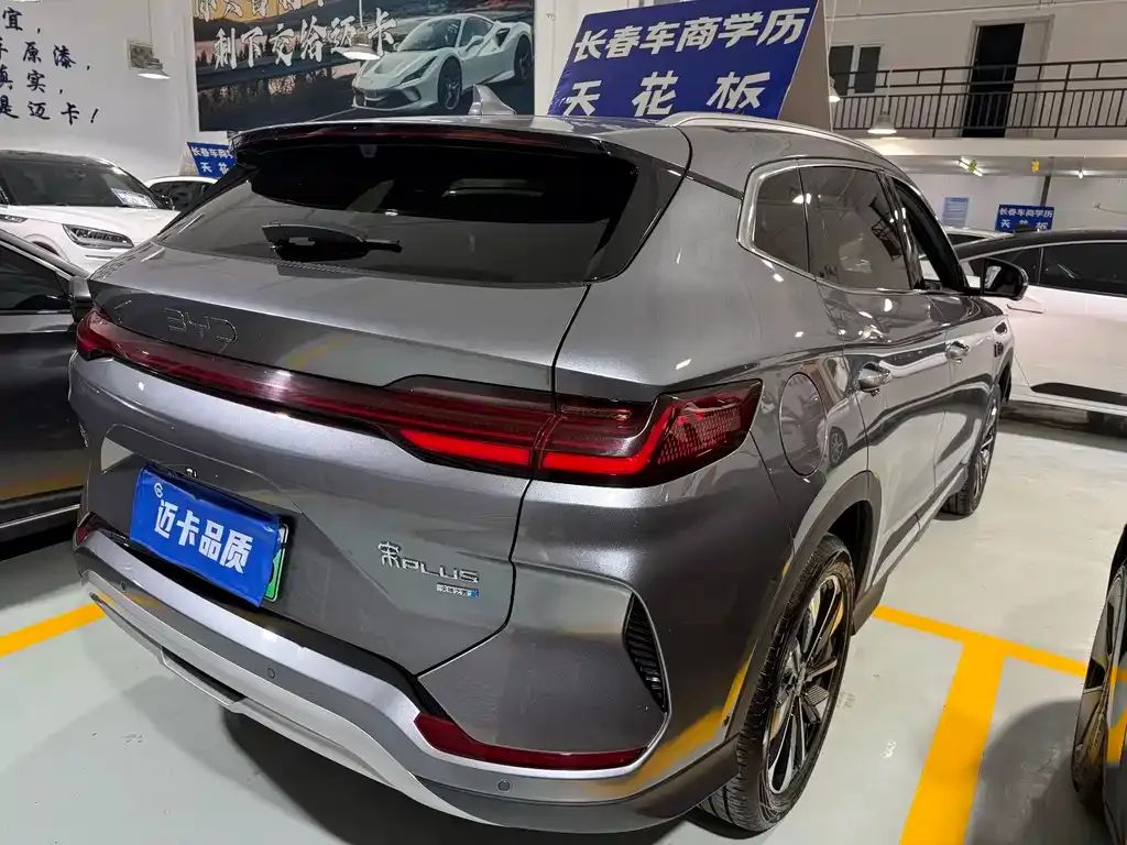BYD PLUS New Energy — фото 7