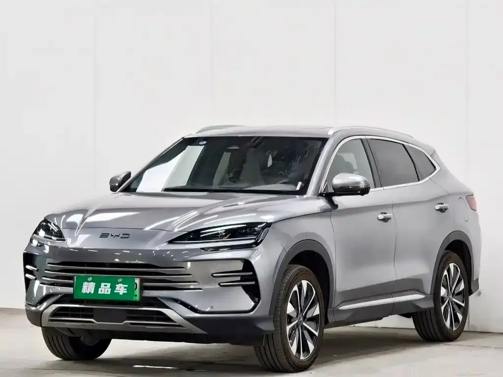 BYD PLUS New Energy — фото 1