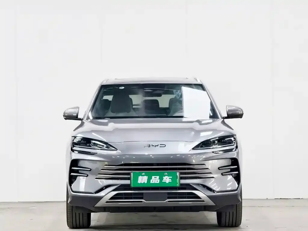 BYD PLUS New Energy — фото 2
