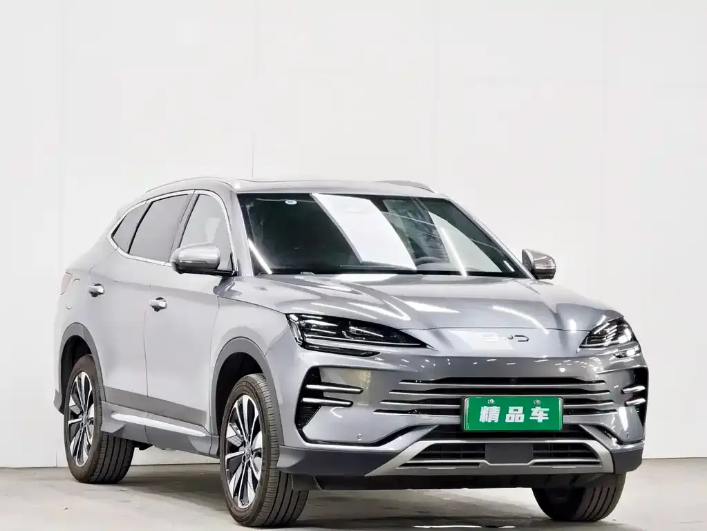 BYD PLUS New Energy — фото 4