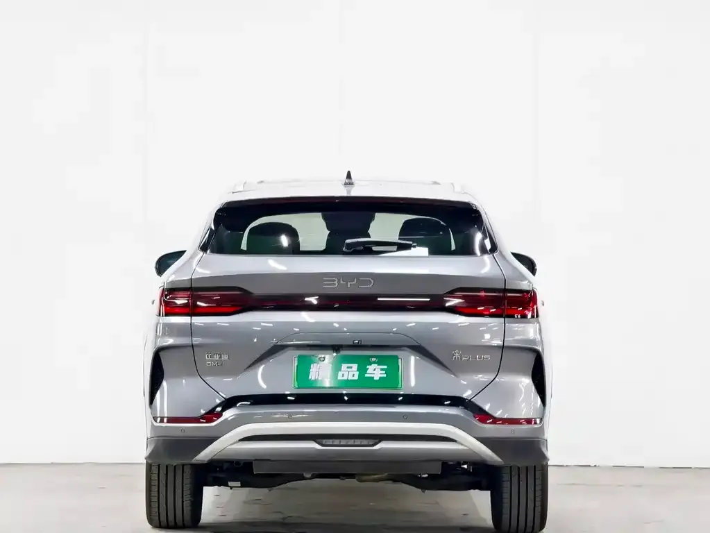 BYD PLUS New Energy — фото 5