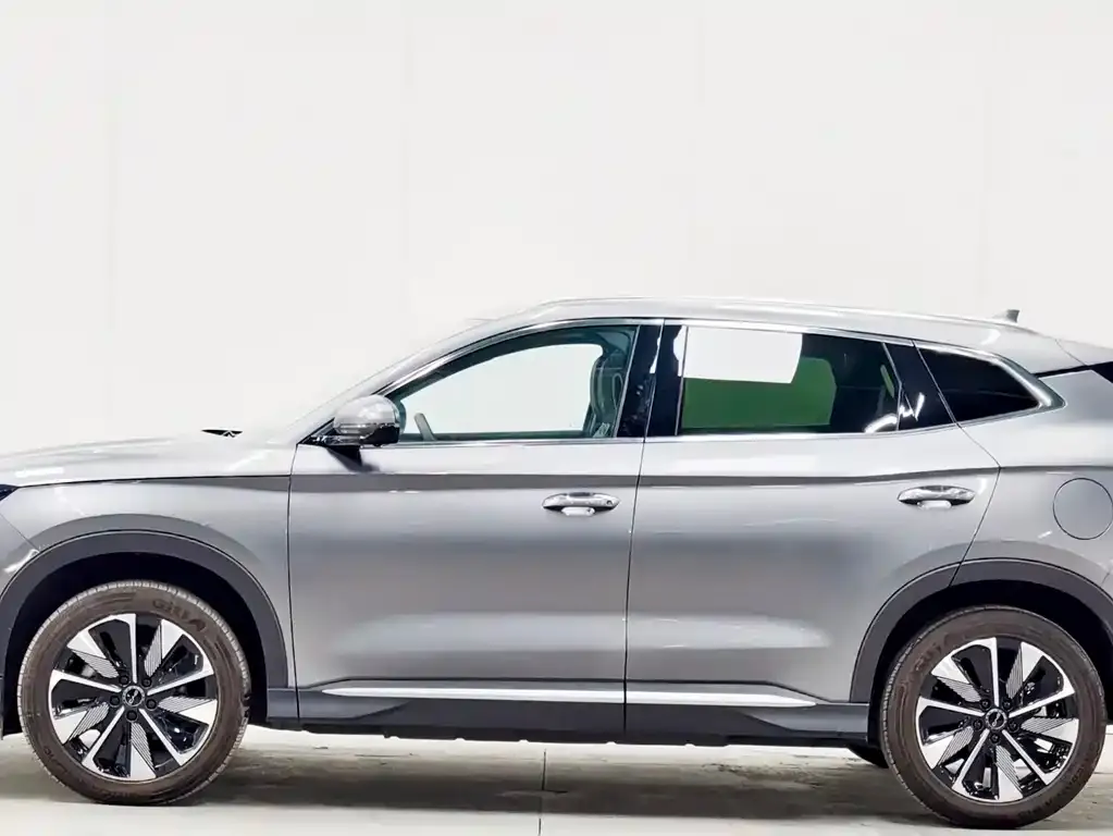 BYD PLUS New Energy — фото 10