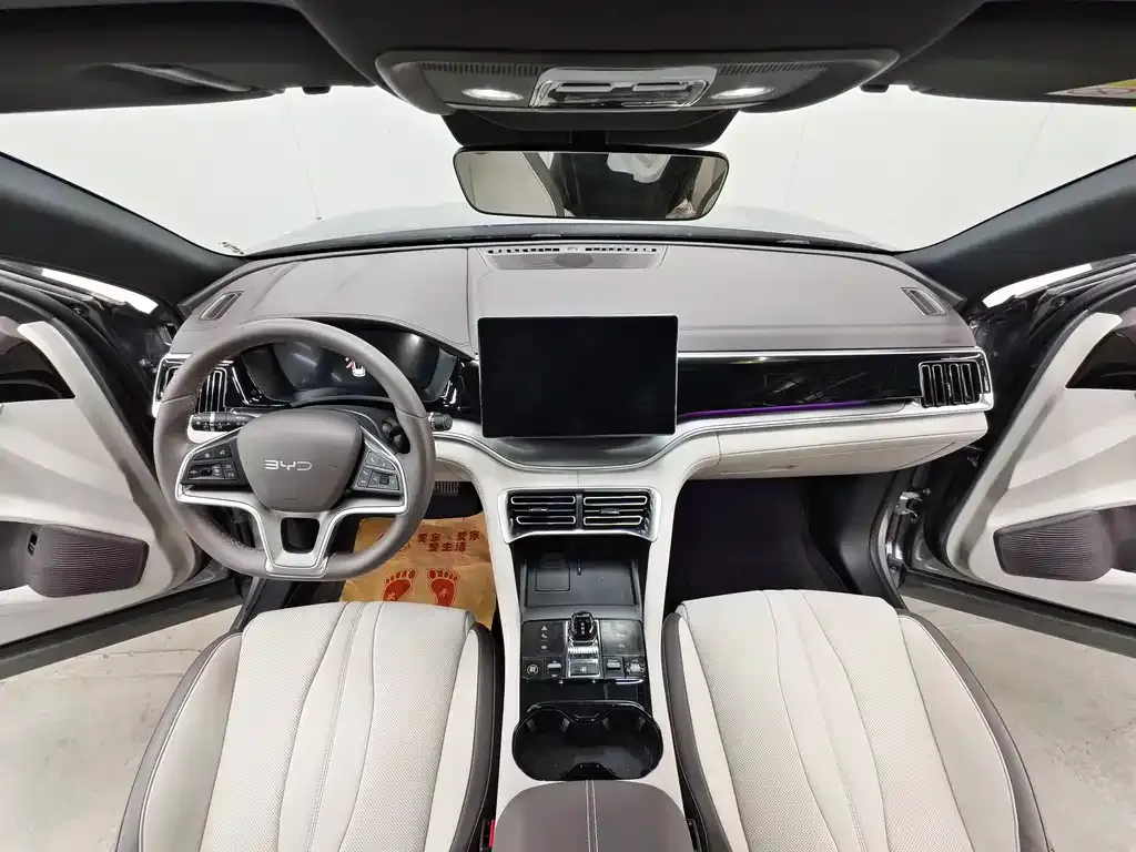 BYD PLUS New Energy — фото 6