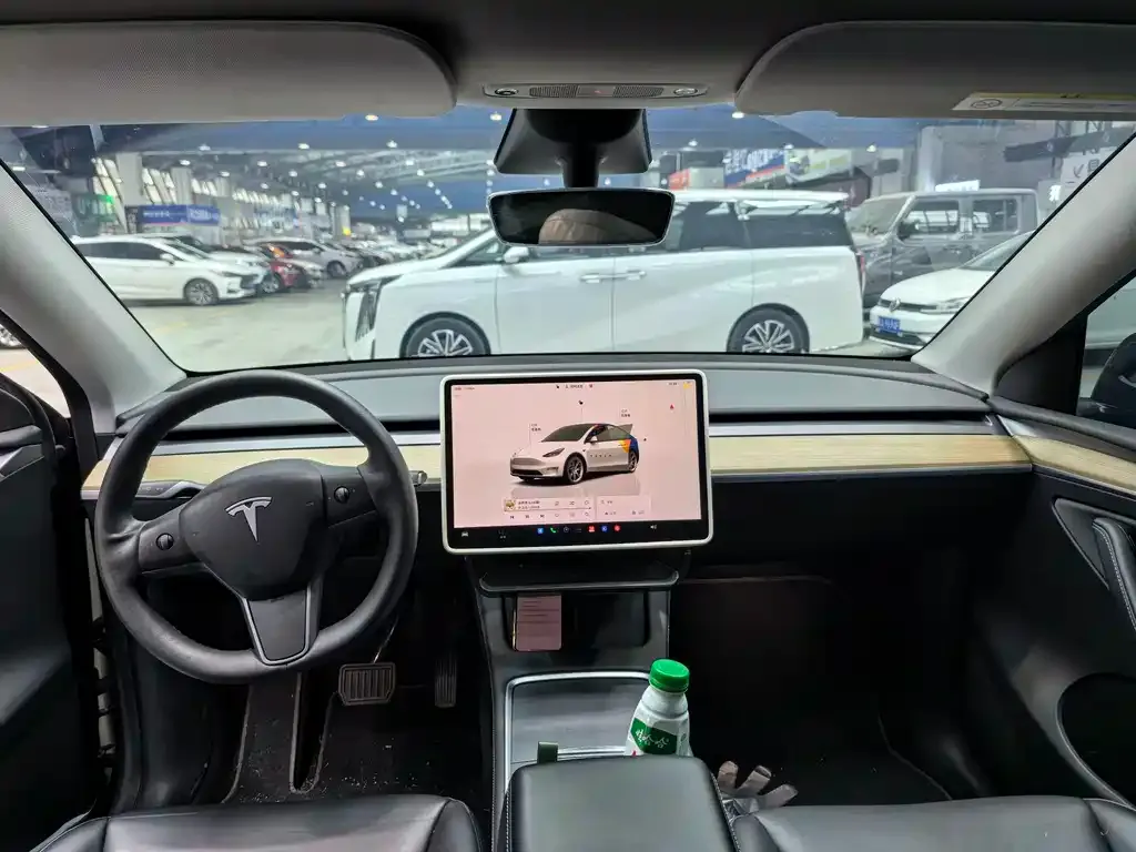 Tesla Model Y — фото 8