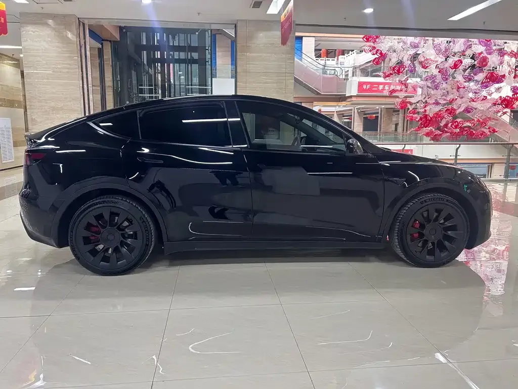 Tesla Model Y 2021 из CN, фото 3