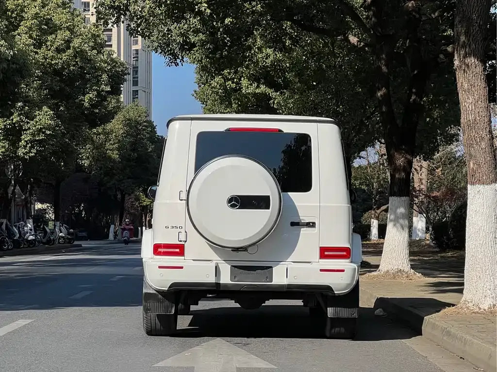 Mercedes-Benz G-Class 2022 из CN, фото 8