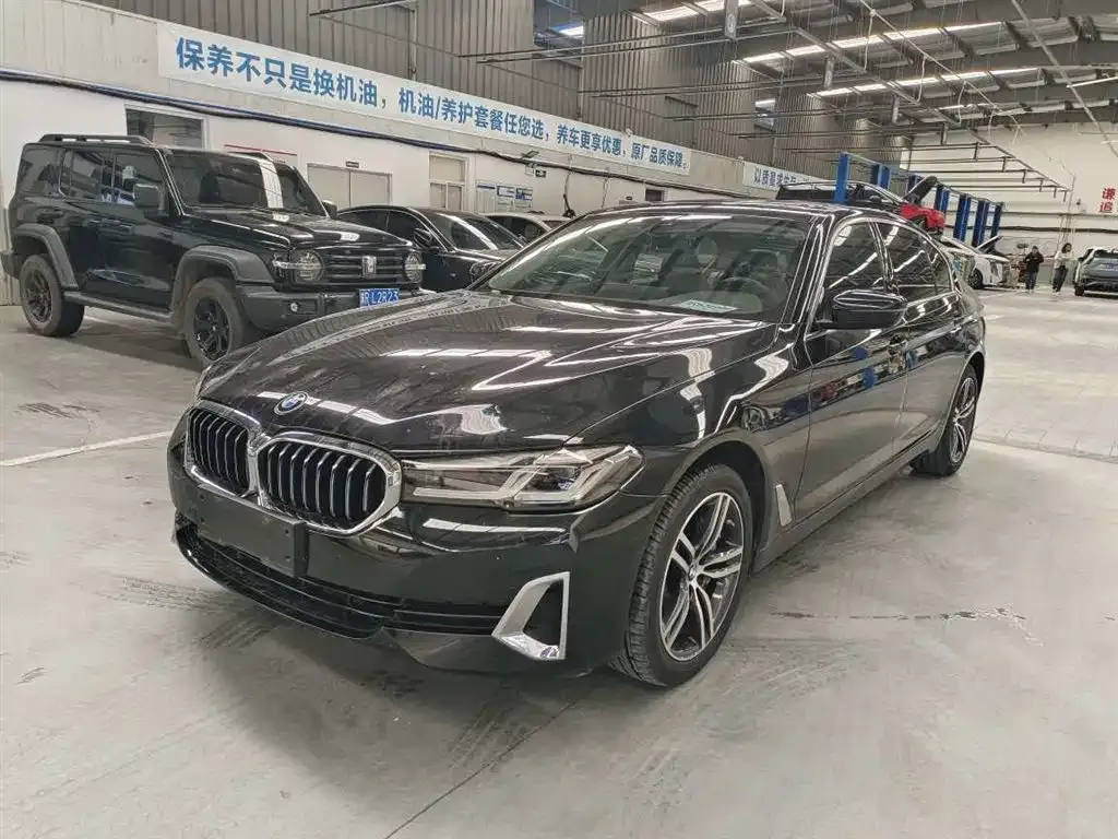 BMW 5 Series 2021 из CN, фото 1