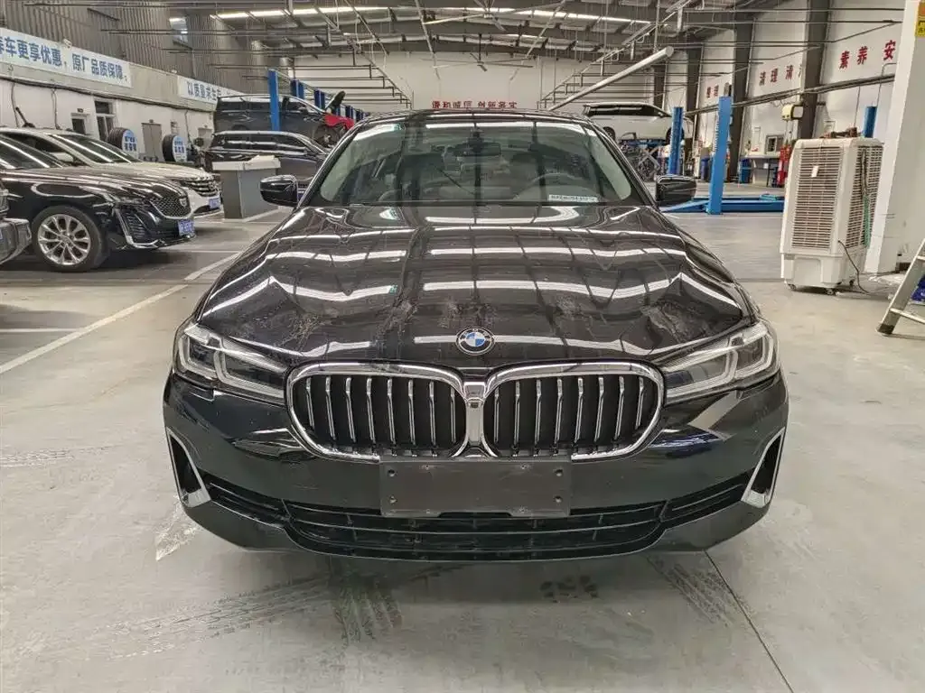 BMW 5 Series 2021 из CN, фото 8