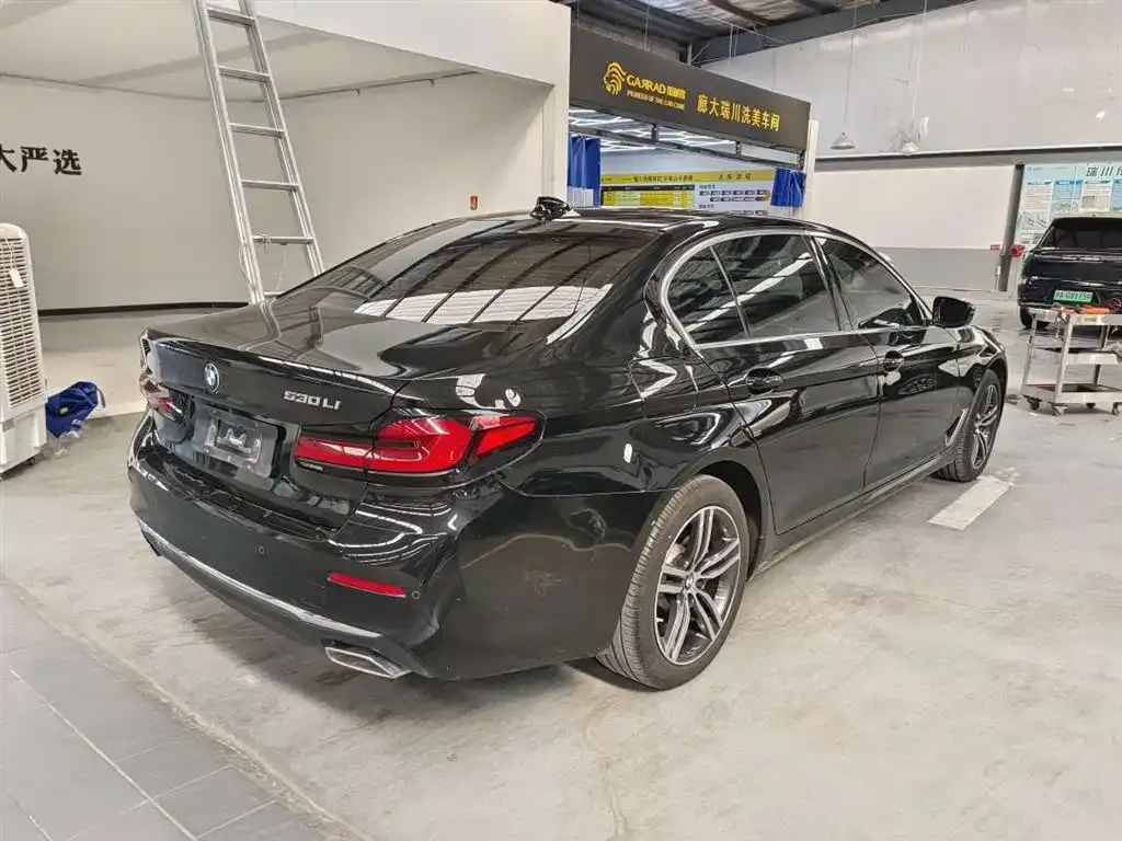 BMW 5 Series 2021 из CN, фото 7