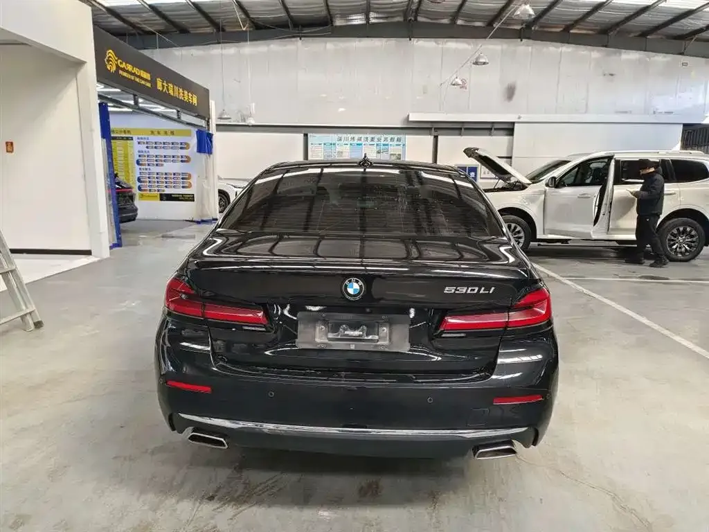 BMW 5 Series 2021 из CN, фото 4