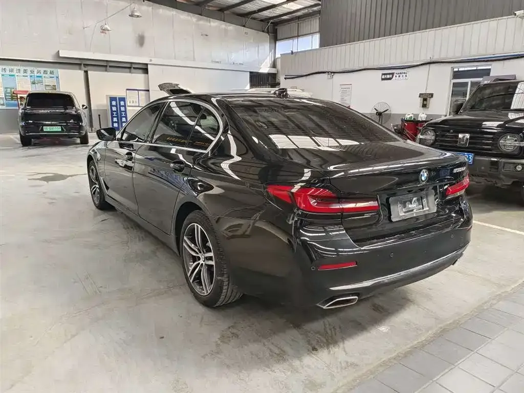 BMW 5 Series 2021 из CN, фото 9