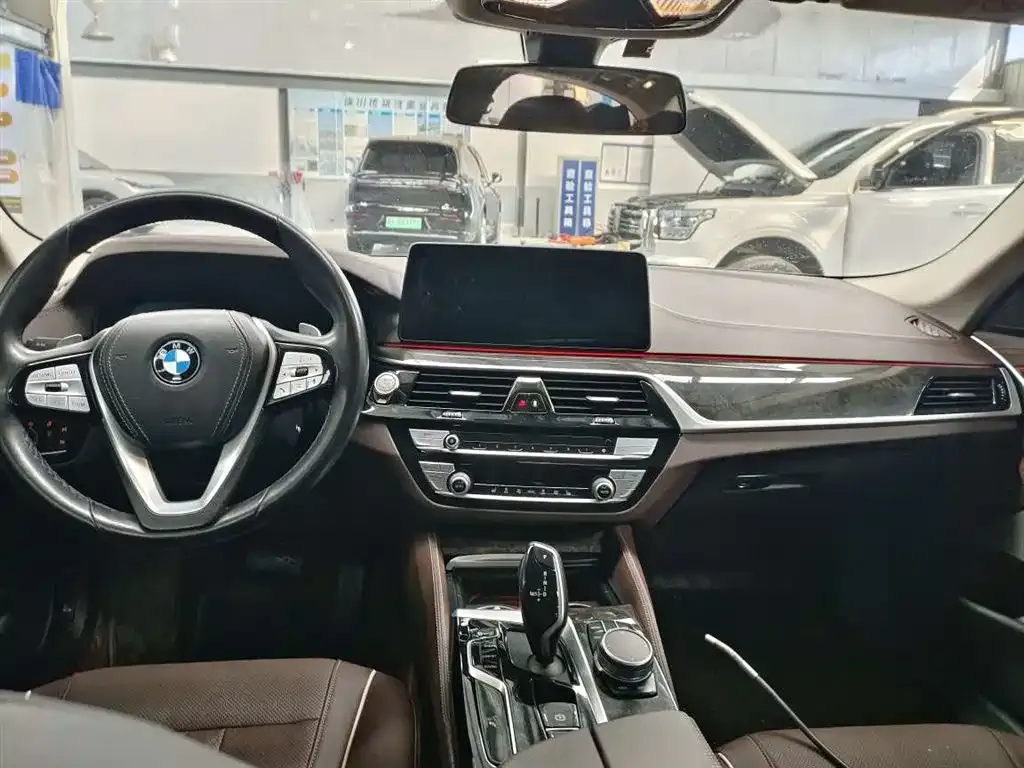 BMW 5 Series 2021 из CN, фото 10