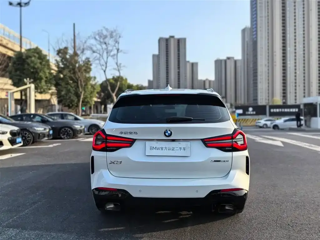 BMW X3 2024 из CN, фото 6