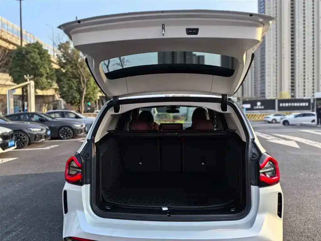 BMW X3 2024 из CN, фото 8