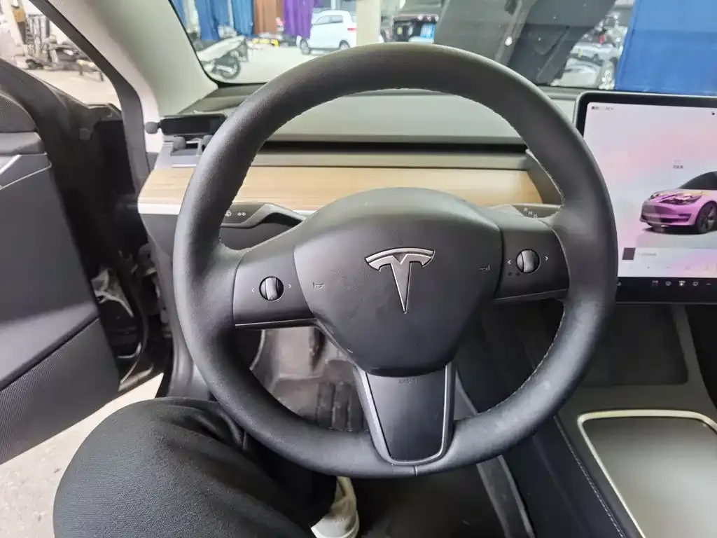 Tesla Model 3 2023 из CN, фото 4