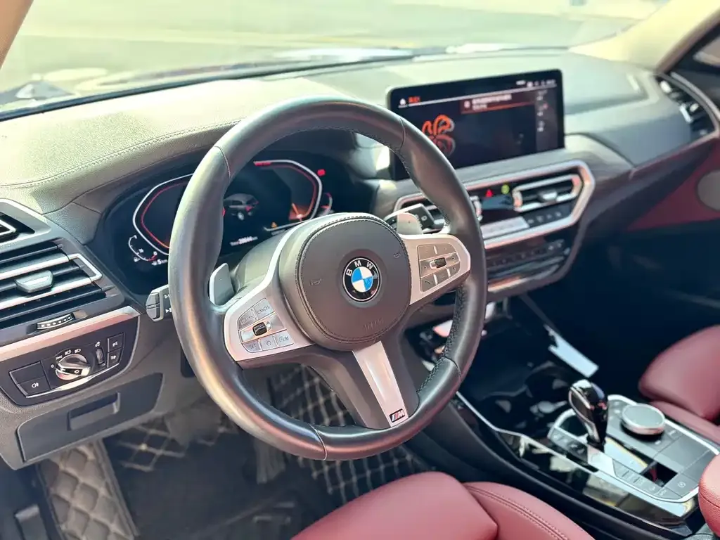 BMW X3 2024 из CN, фото 7