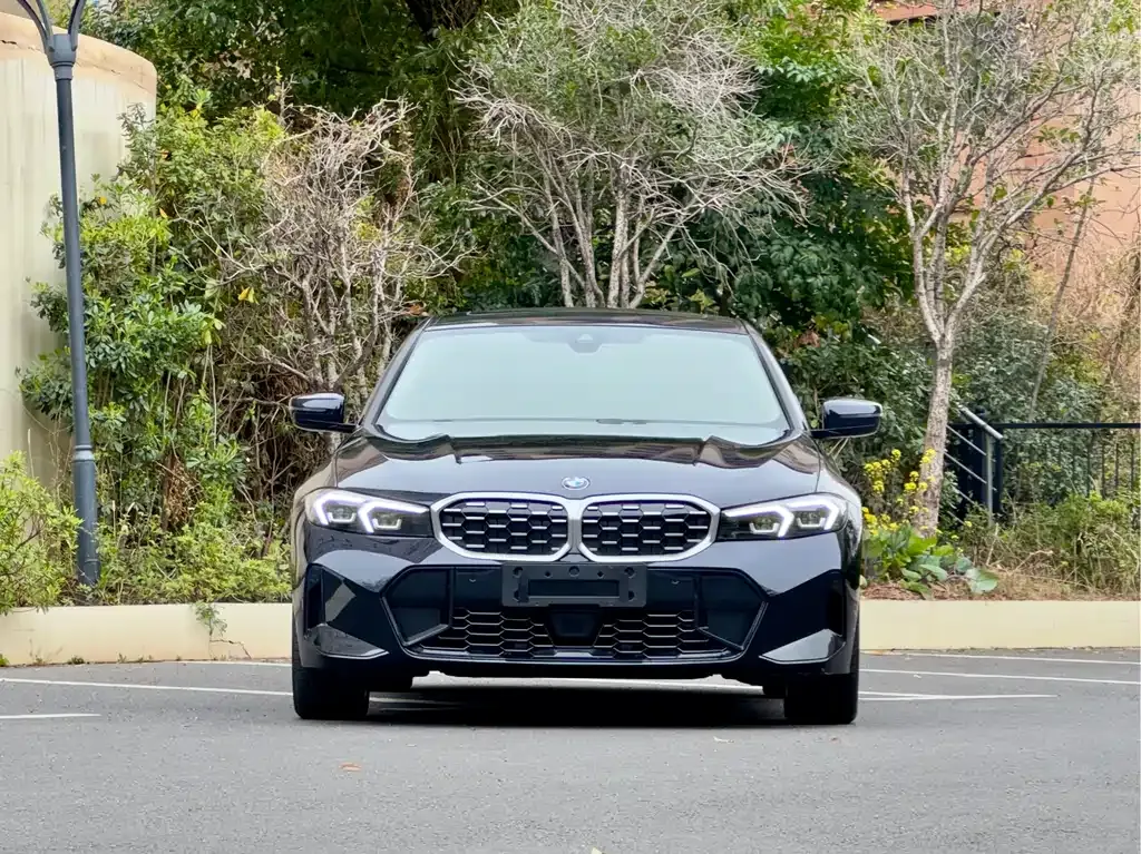 BMW 3 Series 2025 из CN, фото 6