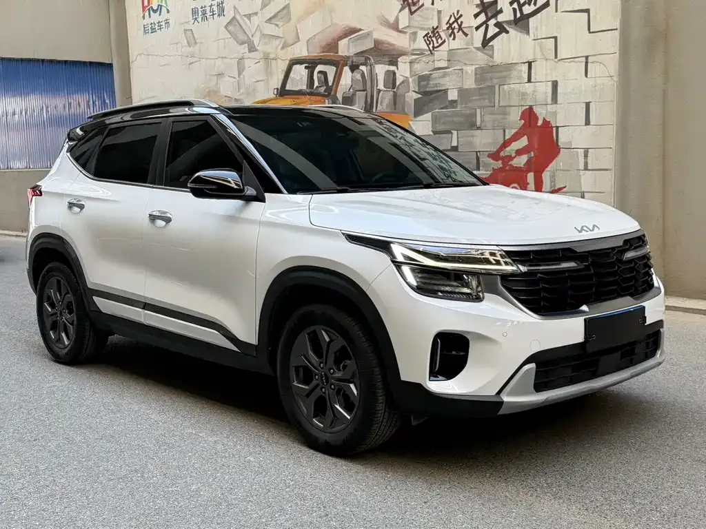 Kia Seltos 2023 из CN, фото 3