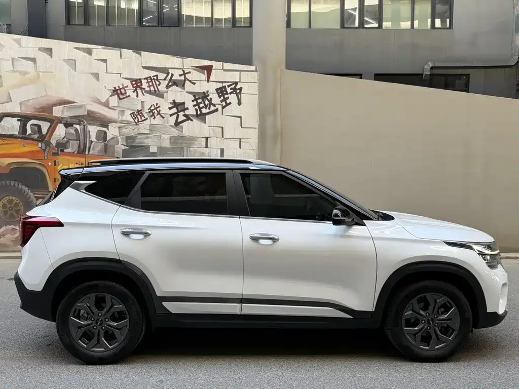 Kia Seltos 2023 из CN, фото 6