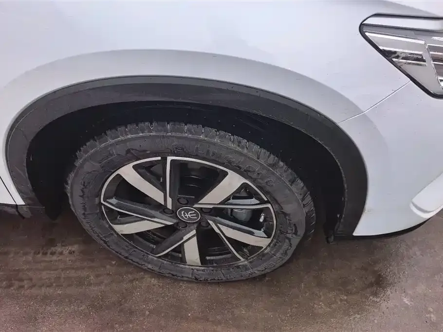 BYD Pro New Energy — фото 3