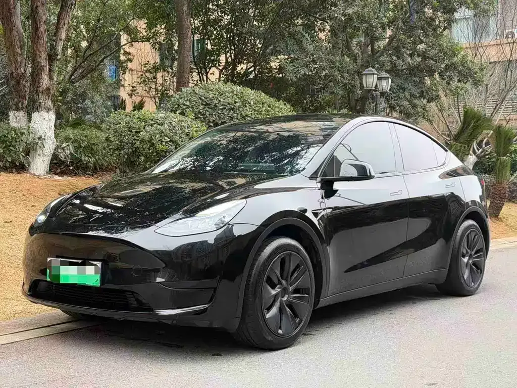 Tesla Model Y — фото 8