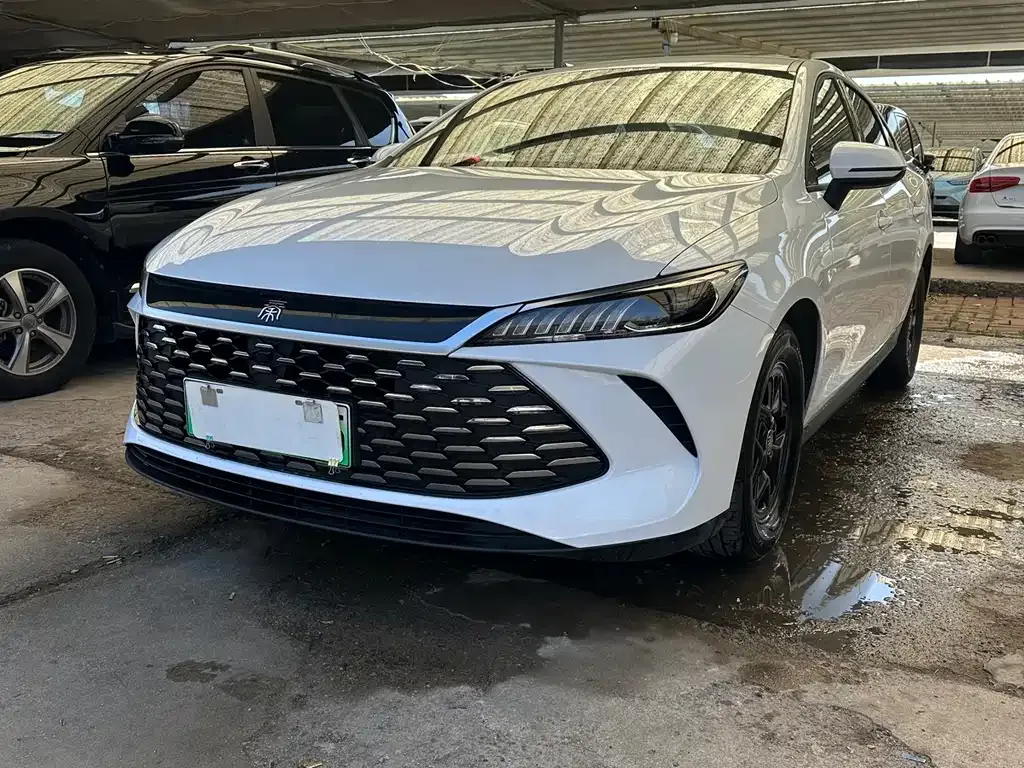 BYD Qin PLUS — фото 1