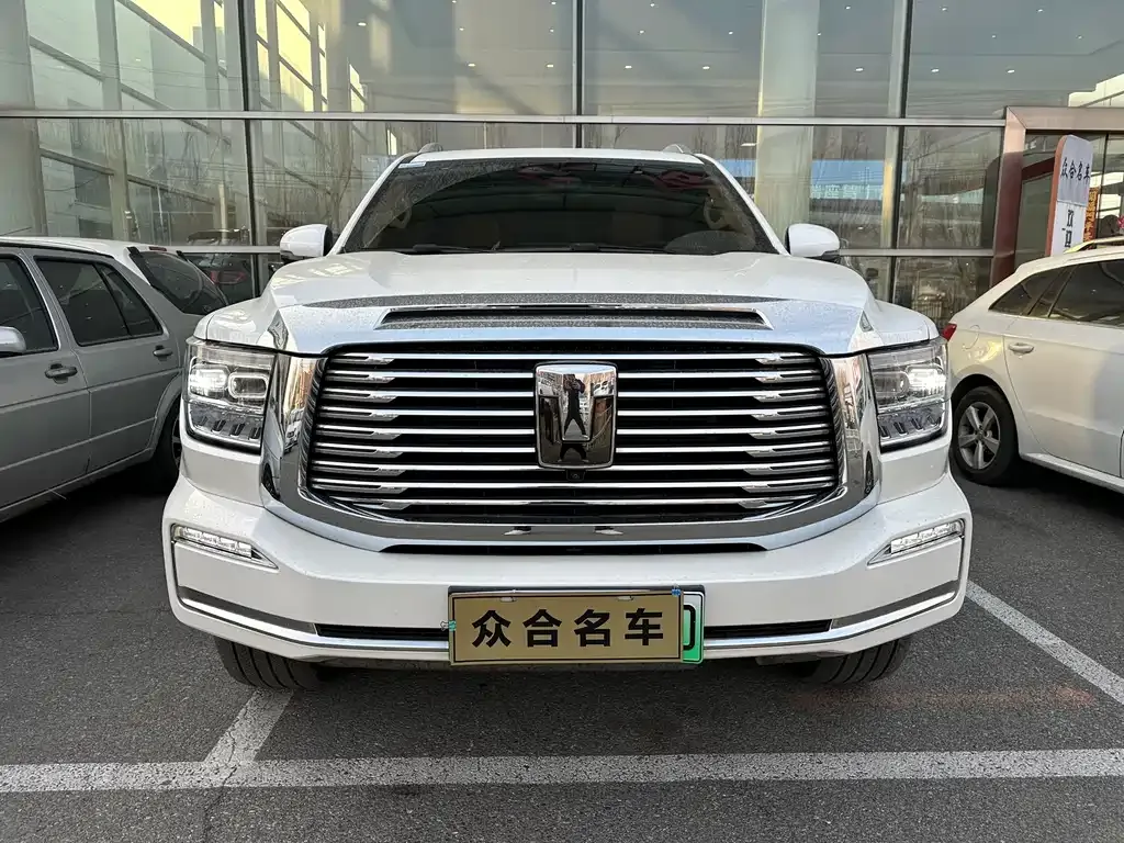 Tank 500 New Energy 2024 из CN, фото 2