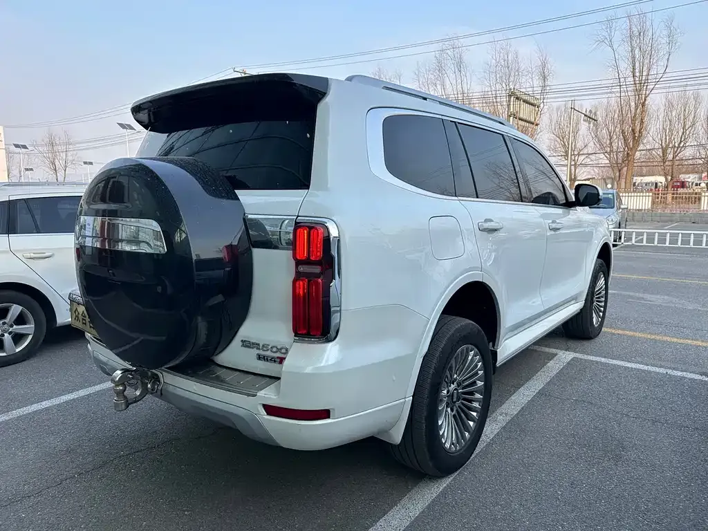 Tank 500 New Energy 2024 из CN, фото 10