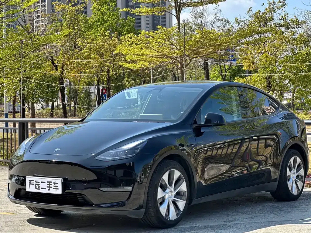Tesla Model Y — фото 1